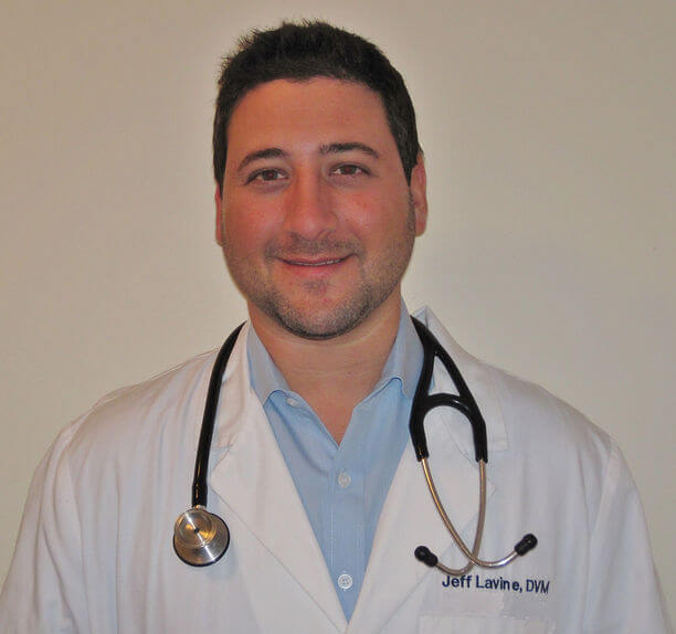 Jeff Lavine
