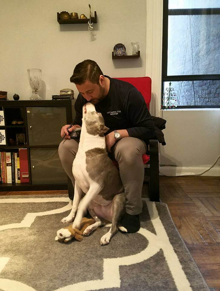 Pet House Calls near me in New York, NY  Pet House Calls near me in New York, NY